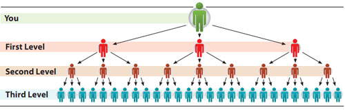 Is-Immunotec-a-Scam-Unilevel-Structure