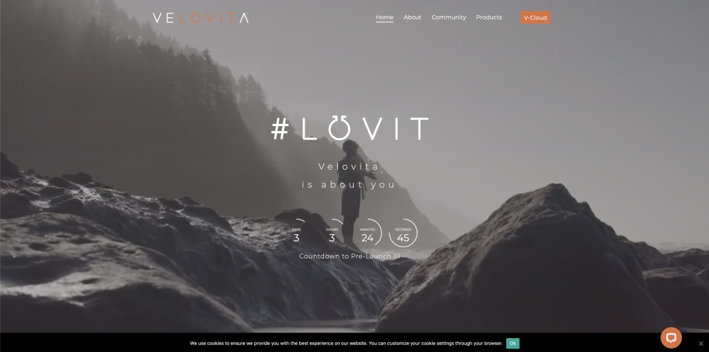What-Is-VeloVita-Landing-Page