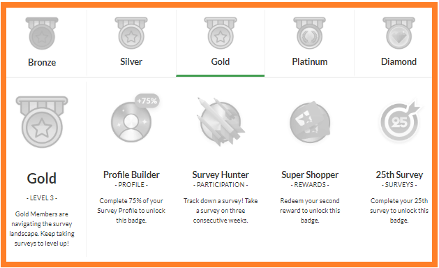 Valued-Opinions-Review-Sample-Badges