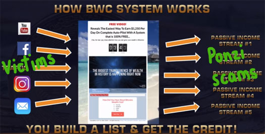 What-Is-Bitcoin-Wealth-Club-Ponzi-Scheme