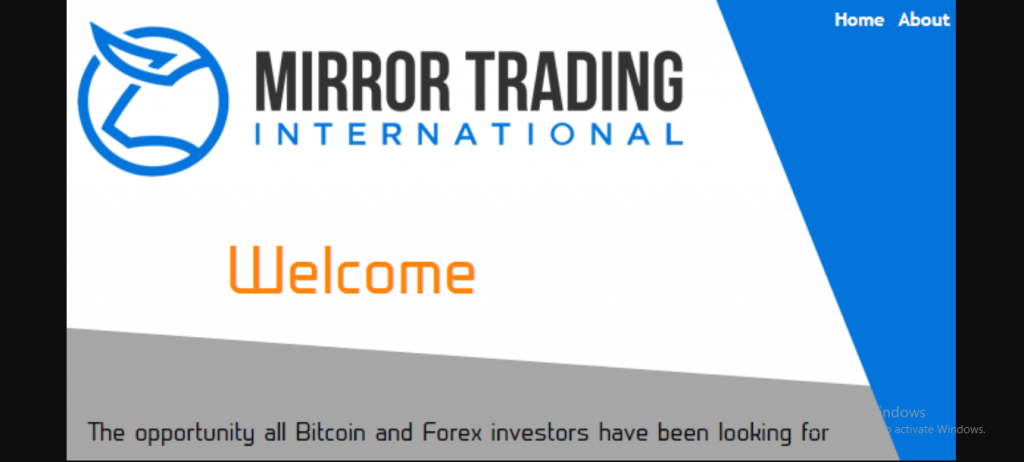 mirror-trading-product-review