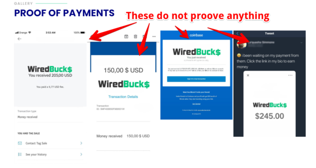 WiredBucks-Fake-Proofs-of-Payment