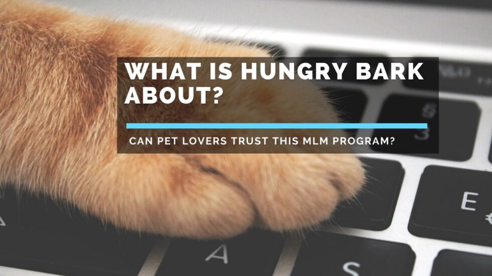 What is Hungry Bark About? Can Pet Lovers Trust This MLM Program?