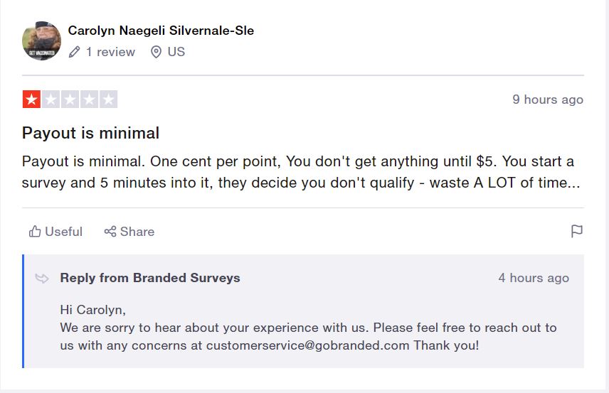 branded-surveys-exposed