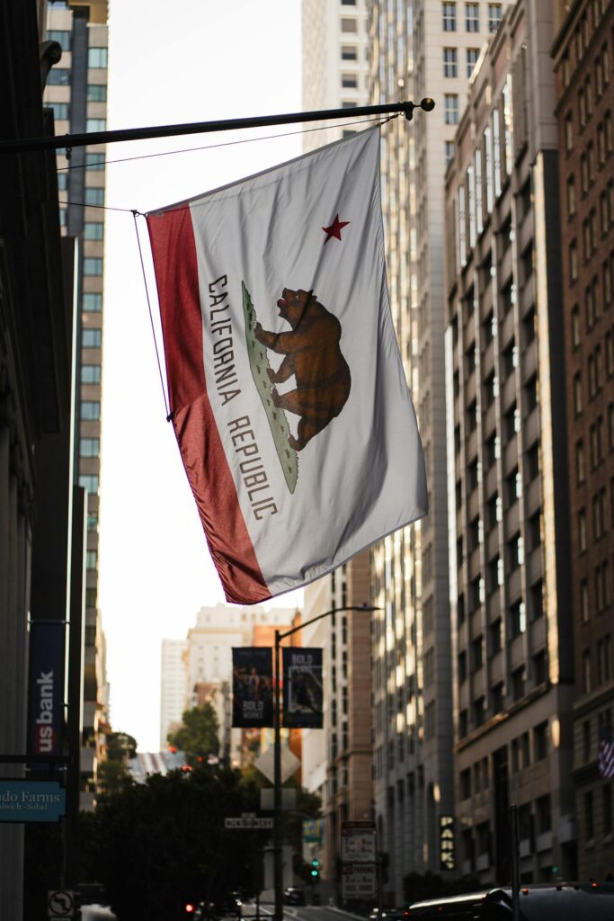 How-to-Start-an-Online-Business-in-California